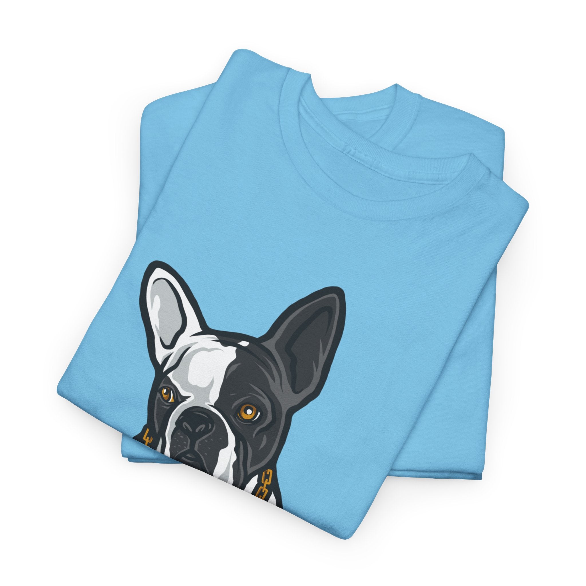 French Bulldog Homie